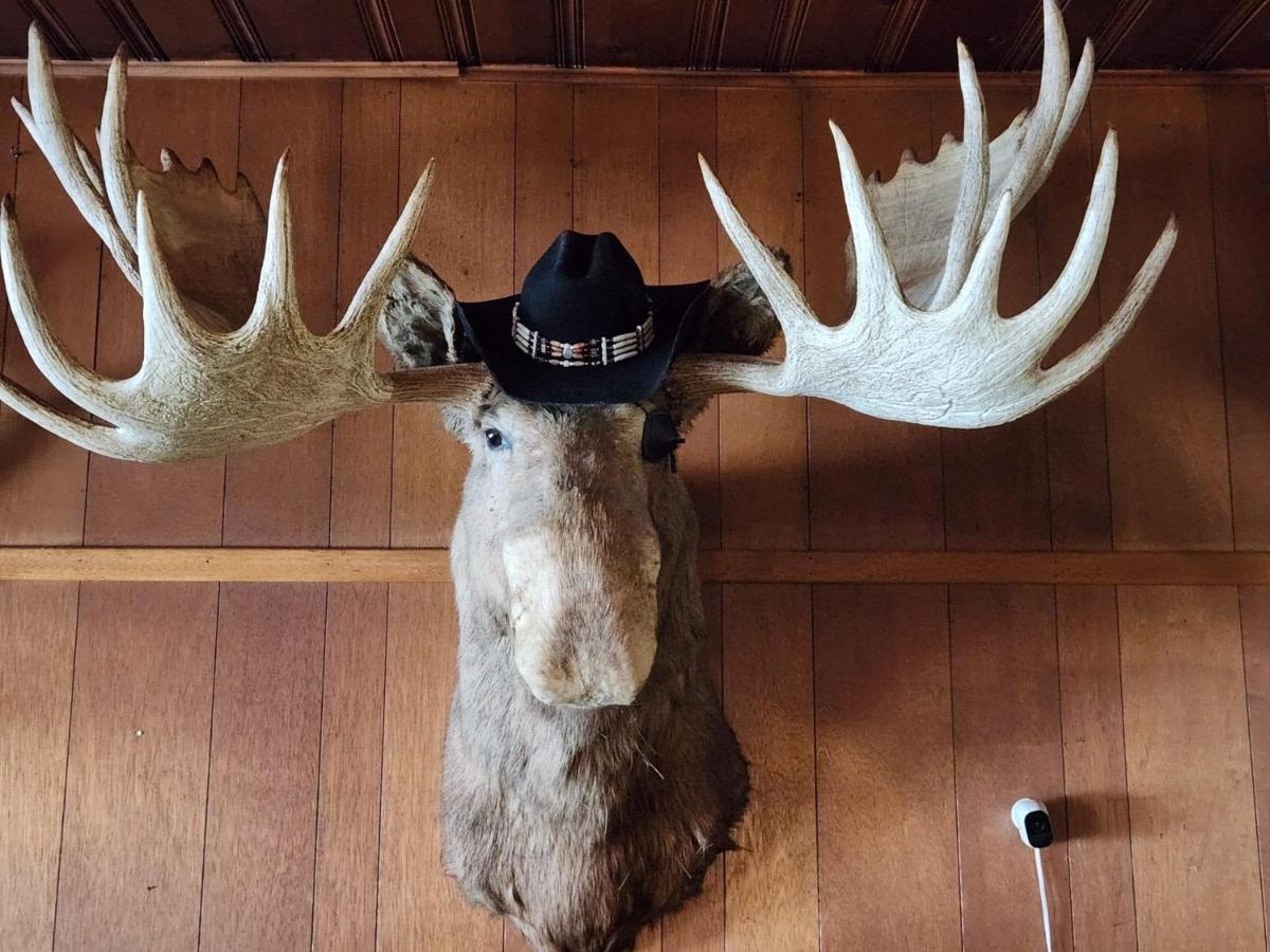 Tolsona Lake Lodge グレンナレン エクステリア 写真