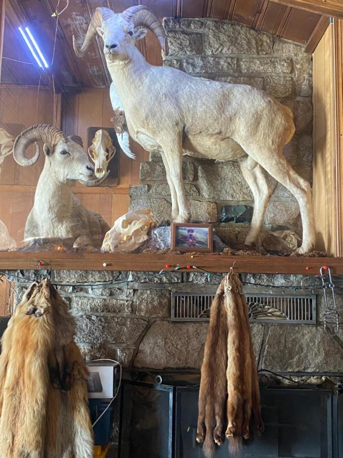 Tolsona Lake Lodge グレンナレン エクステリア 写真