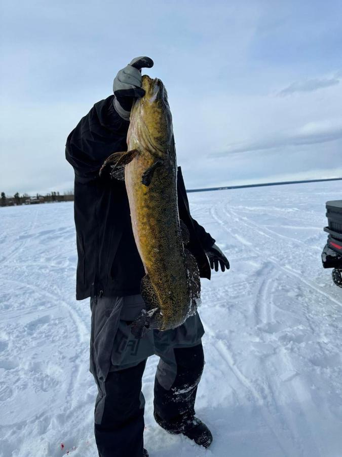 Tolsona Lake Lodge グレンナレン エクステリア 写真